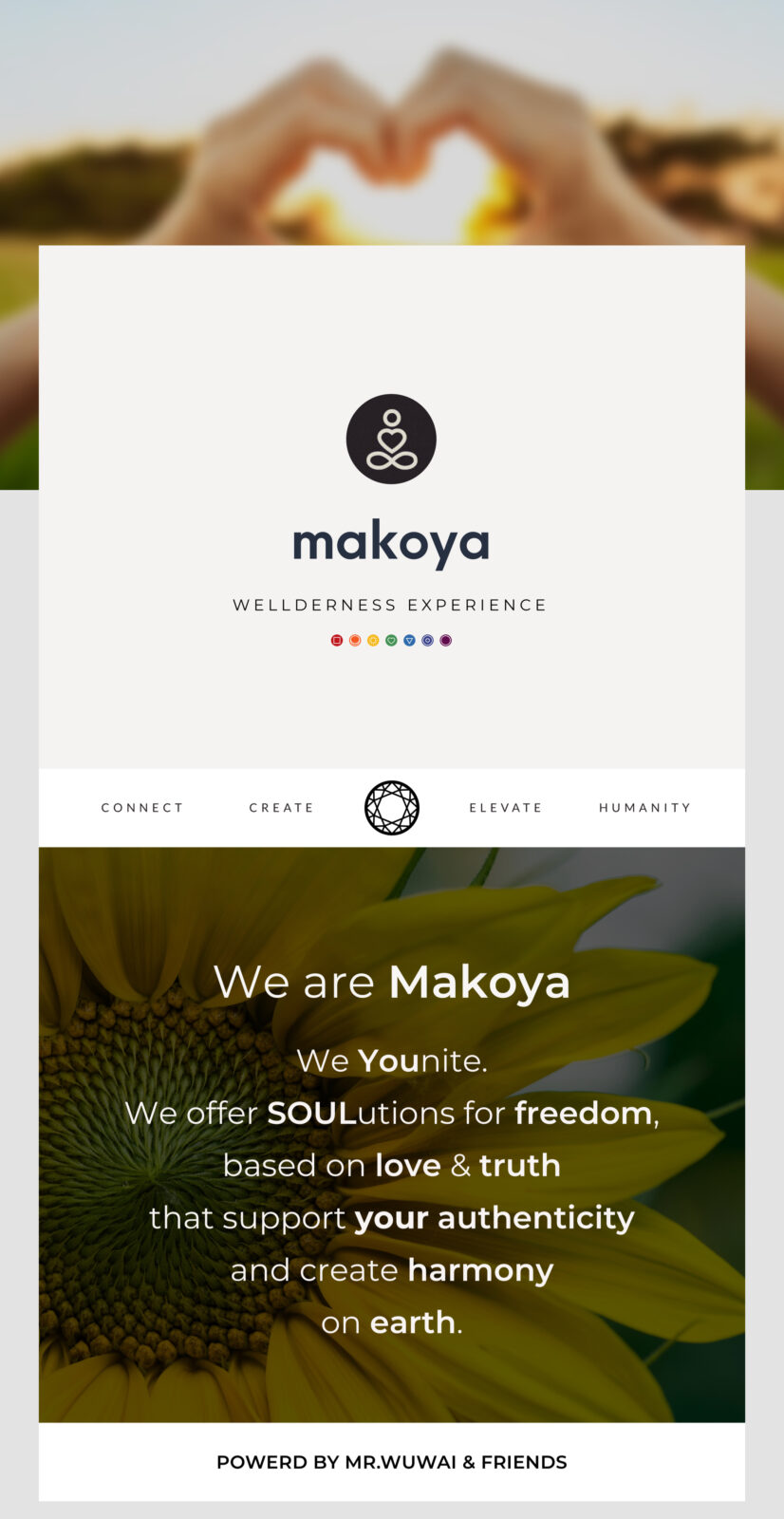 Makoya Experience-1